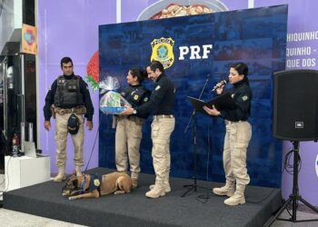 Vídeo: Belinha, cão policial, se aposenta e é adotada por “colega” da PRF com festa em shopping 