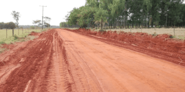 Homem e adolescente de 14 anos são executados em cidade de MS