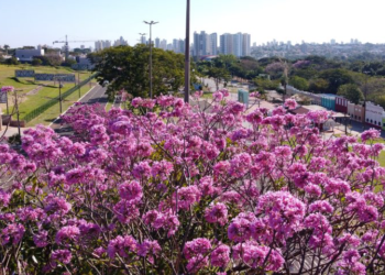Sol e tempo estável marcam quinta-feira em MS