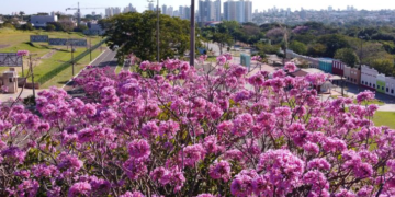 Sol e tempo estável marcam quinta-feira em MS