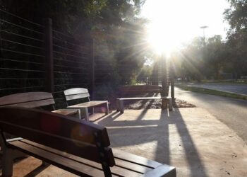 Com previsão de sol no fim de semana, projeto Amigos do Parque funciona das 7h às 19h