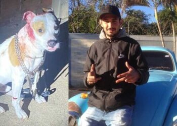 Preso homem que matou jovem e atirou em cachorro em MS; doguinho sobreviveu