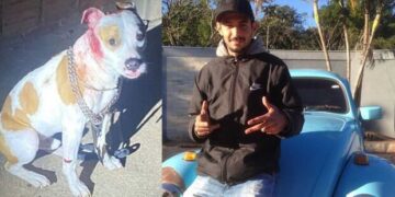 Preso homem que matou jovem e atirou em cachorro em MS; doguinho sobreviveu