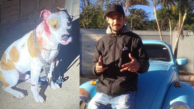 Preso homem que matou jovem e atirou em cachorro em MS; doguinho sobreviveu