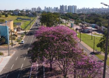 Terça-feira de tempo seco e quente com pouca possibilidade de chuva em todo o Estado