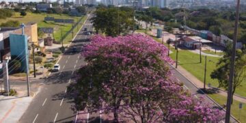 Terça-feira de tempo seco e quente com pouca possibilidade de chuva em todo o Estado