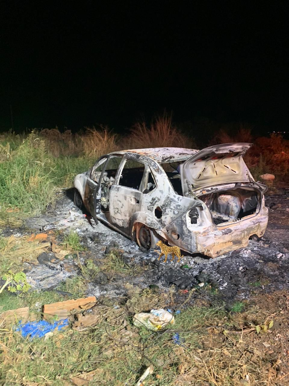 Corpos carbonizados em Fiesta serão identificados no IMOL; carro ficou destruído 