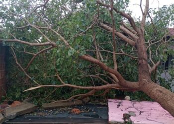 Temporal deixa estragos em Dourados e Alan Guedes decreta estado de emergência; veja como ajudar Temporal deixa estragos em Dourados e Alan Guedes decreta estado de emergência; veja como ajudar