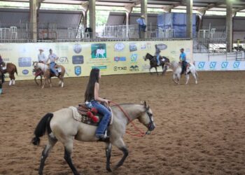 Feriado tem Duelo da Rainha e violada em clube do laço na Capital Feriado tem Duelo da Rainha e violada em clube do laço na Capital