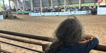 Com entrada grátis CLC tem bailão, violada e comidas típicas no Parque