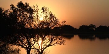 Calor predomina nesta quarta em MS