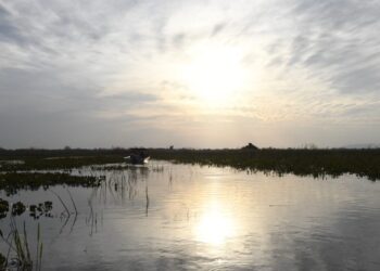 Calor de 35⁰ marca domingo em MS