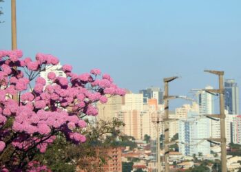 Domingo de tempo firme e temperaturas agradáveis em Mato Grosso do Sul