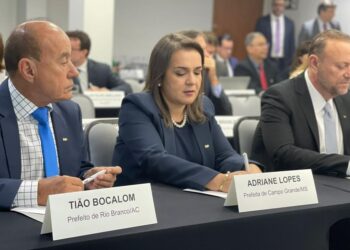 Em Brasília, Adriane debate reforma tributária junto com a FNP Em Brasília, Adriane debate reforma tributária junto com a FNP