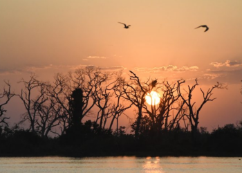 Beba água: previsão é que MS tenha calorão da pega e baixa umidade