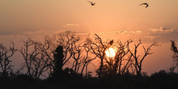 Beba água: previsão é que MS tenha calorão da pega e baixa umidade