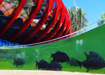 Confira o que abre e fecha neste feriado da Independência Confira o que abre e fecha neste feriado da Independência