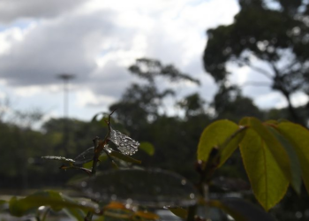Sextou com o tempo maluquinho que só MS tem: sol e chuva