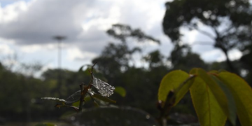 Sextou com o tempo maluquinho que só MS tem: sol e chuva