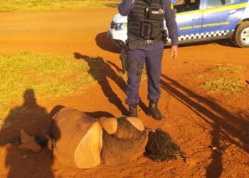 Mulher é encontrada amarrada e afirma ter sido sequestrada por bandidos que procuravam seu ex