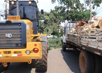 Prefeitura ainda recolhe árvores e galhos após  temporal na quinta