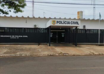 Cavalo m*rre após ter cabo de metal introduzido no 4nus e dois são presos em MS