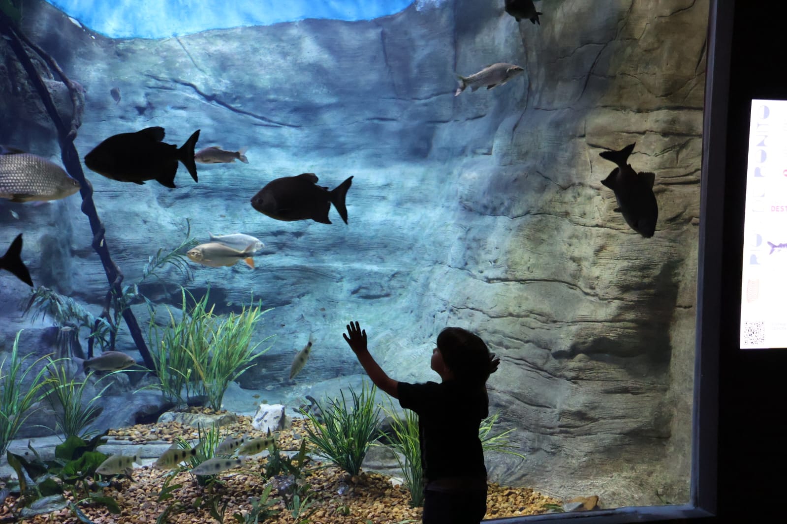 Bioparque Pantanal está fechado para manutenção e reabre dia 9 de janeiro