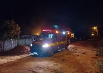 Criança de 3 anos é picada por escorpião em Aquidauana