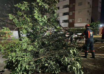 Vídeo: equipes da prefeitura fazem força tarefa para reparar estragos causados pela chuva em Campo Grande
