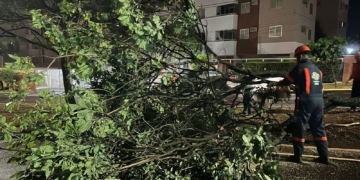 Vídeo: equipes da prefeitura fazem força tarefa para reparar estragos causados pela chuva em Campo Grande
