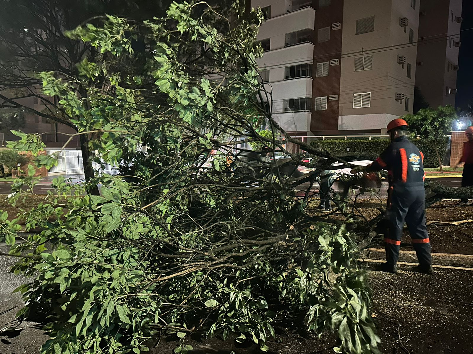 Vídeo: equipes da prefeitura fazem força tarefa para reparar estragos causados pela chuva em Campo Grande