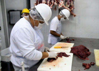 Frigorífico em Campo Grande e vende carne de avestruz para quase todo o país