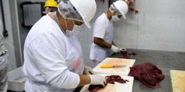 Frigorífico em Campo Grande e vende carne de avestruz para quase todo o país