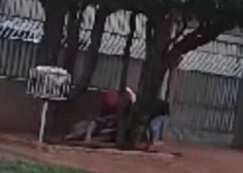 Vídeo: sob o canto de passarinhos mulheres rolam no chão em saída de tabacaria