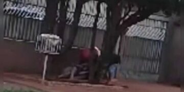 Vídeo: sob o canto de passarinhos mulheres rolam no chão em saída de tabacaria