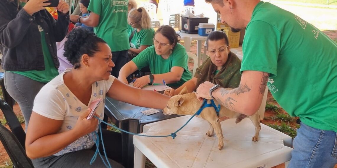 Em ação no Estrela Dalva, Prefeitura presta atendimento veterinário