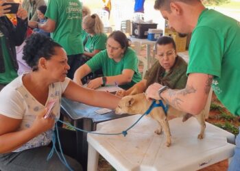 Em ação no Estrela Dalva, Prefeitura presta atendimento veterinário