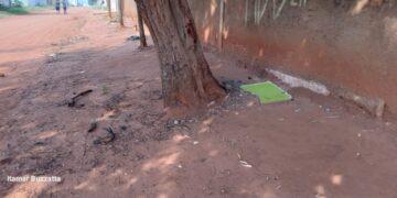 Jovem é m*rto a pedradas no Nova Lima