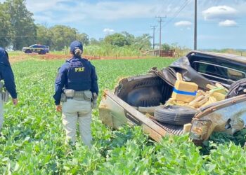 PRF apreende 556 Kg de maconha em Campo Grande