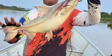 Corpo de homem que caiu com carro no rio Taquari é encontrado 