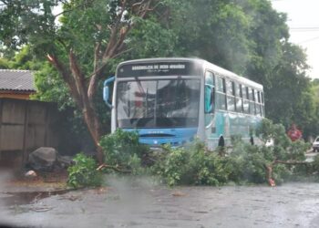Temporal e chuva de granizo deixam rastro de destruição em cidade do MS 