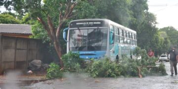 Temporal e chuva de granizo deixam rastro de destruição em cidade do MS 