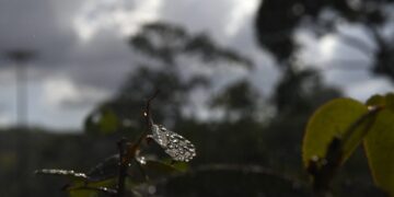 Tempo continuar instável nesta quarta-feira em MS