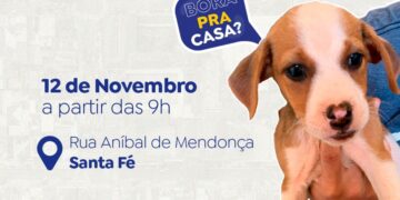 Prefeitura realiza feira de adoção de pets neste domingo (12)