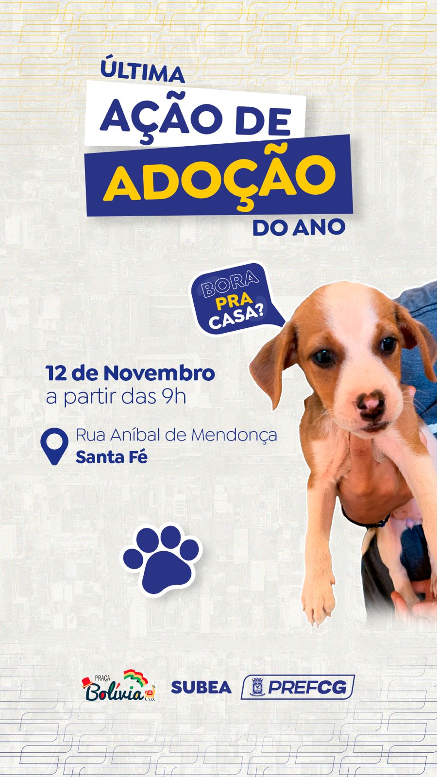 Prefeitura realiza feira de adoção de pets neste domingo (12)