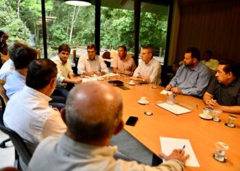 Prioridade é proteger o bioma e promover o desenvolvimento sustentável, diz Paulo Corrêa sobre Lei do Pantanal