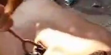 Vídeo: homem é torturado com ferro em brasa em MS; imagens são fortes 