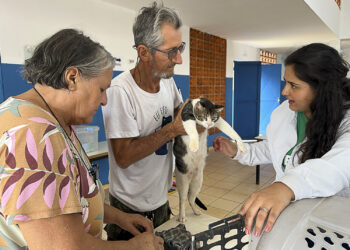 Subea em Ação encerra o ano com atendimento no CRAS das Moreninhas