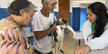 Subea em Ação encerra o ano com atendimento no CRAS das Moreninhas