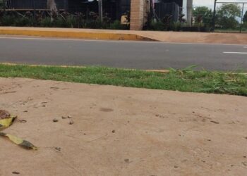 Homem é m*rto a tiros e amigo baleado em saída de boate na Três Barras